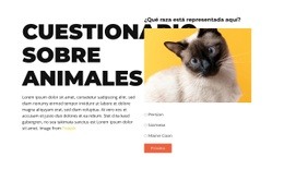 Un Desafío Divertido Por Delante Plantilla