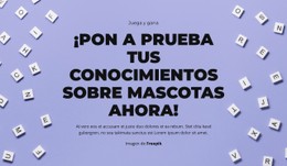 Preparados, Listos, ¡Adivinen! Plantilla CSS Adaptable