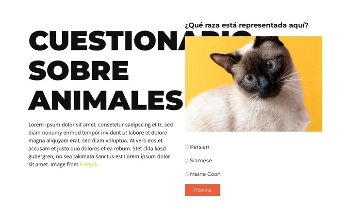 Un desafío divertido por delante Plantilla HTML