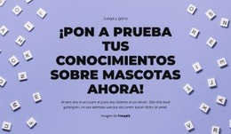 Preparados, Listos, ¡Adivinen! - Plantilla Html De Una Página