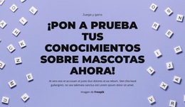 Preparados, Listos, ¡Adivinen!