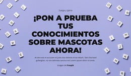 Tema De WordPress Multipropósito Para Preparados, Listos, ¡Adivinen!