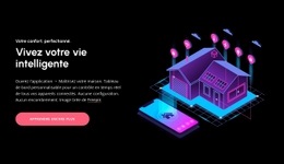 Contrôle Domestique Révolutionnaire