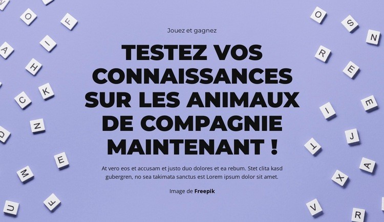 À vos marques, prêts, devinez Conception de site Web