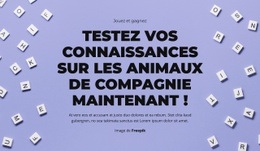 À Vos Marques, Prêts, Devinez #Website-Mockup-Fr-Seo-One-Item-Suffix