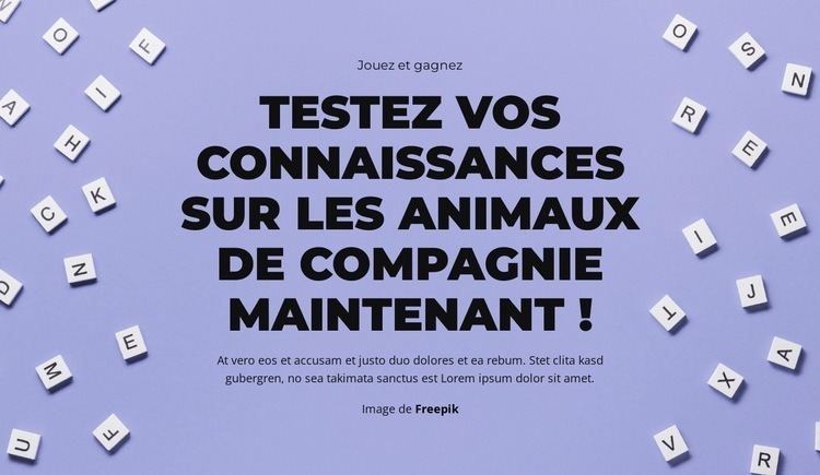 À vos marques, prêts, devinez Maquette de site Web