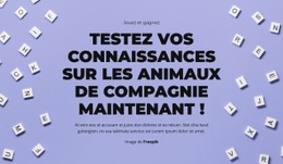 À Vos Marques, Prêts, Devinez #Css-Templates-Fr-Seo-One-Item-Suffix