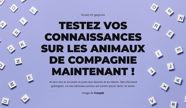 À vos marques, prêts, devinez Modèle CSS