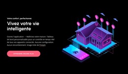 Contrôle Domestique Révolutionnaire