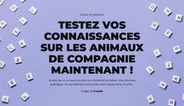 À Vos Marques, Prêts, Devinez - Modèle De Site Web Professionnel