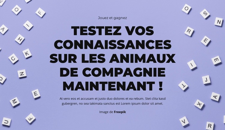 À vos marques, prêts, devinez Modèle de site Web