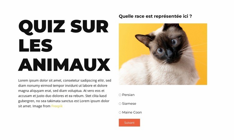 Un défi amusant à venir Modèle d'une page