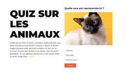 Un Défi Amusant À Venir