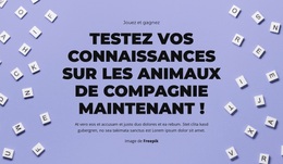 Thème WordPress Polyvalent Pour À Vos Marques, Prêts, Devinez