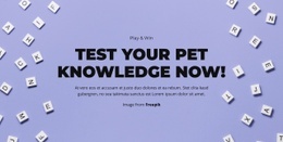 Ready, Set, Guess - Custom Html Code