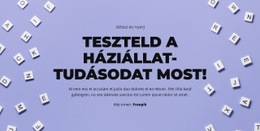 Kész, Kész, Találd Ki - HTML Weboldal Sablon