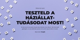 Kész, Kész, Találd Ki – Többcélú Kreatív Sablon