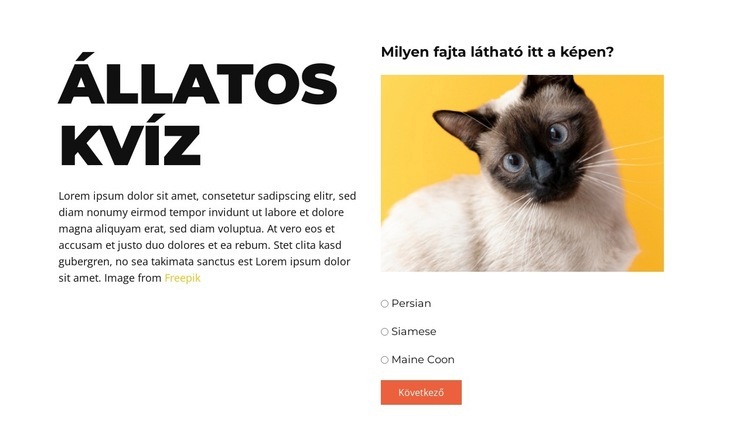 Szórakoztató kihívás vár ránk Sablon