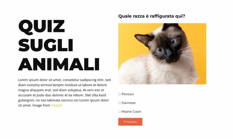 Sfida divertente in arrivo Progettazione di siti web