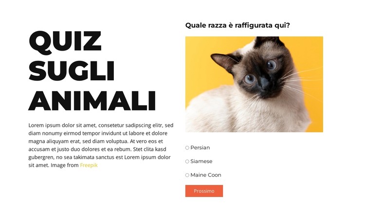 Sfida divertente in arrivo Modello CSS