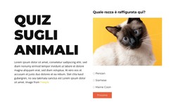 Sfida Divertente In Arrivo Modello HTML