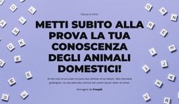 Pronti, Via, Indovinate!