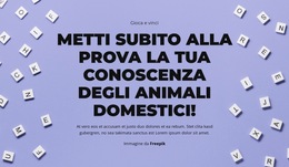 Pronti, Via, Indovinate!