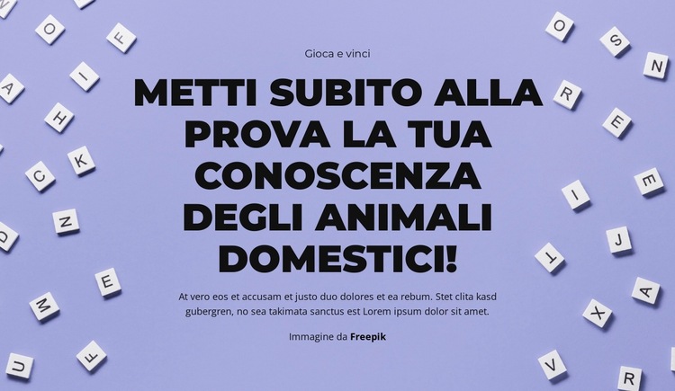 Pronti, via, indovinate! Modello di sito Web