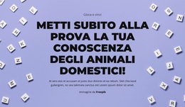 Tema WordPress Multiuso Per Pronti, Via, Indovinate!