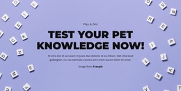 Ready, Set, Guess - Simple Joomla Template