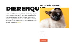 Leuke Uitdaging Voor De Boeg