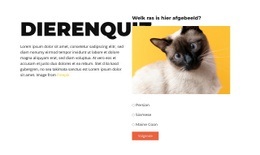 Leuke Uitdaging Voor De Boeg Sjabloon