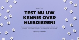 Multifunctioneel WordPress-Thema Voor Klaar, Af, Raad Eens