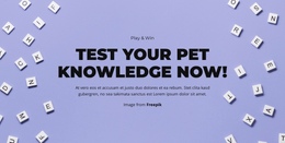 Ready, Set, Guess - One Page Html Template