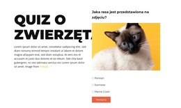 Przed Nami Zabawne Wyzwanie