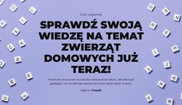 Uniwersalny Motyw WordPress Dla Gotowy, Do Startu, Zgadnij