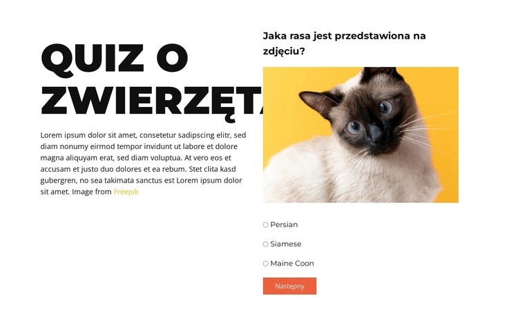 Przed nami zabawne wyzwanie Projekt strony internetowej