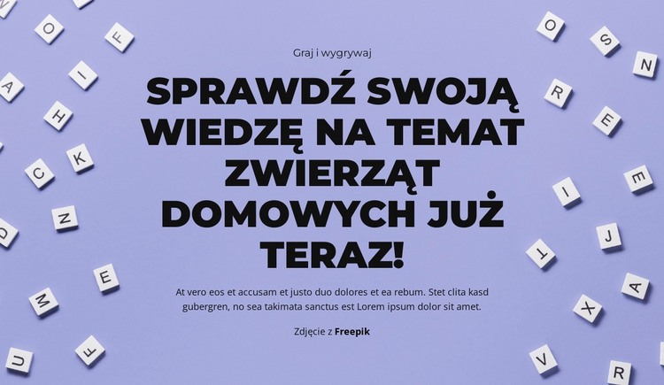 Gotowy, do startu, zgadnij Szablon HTML