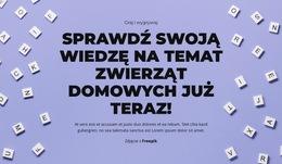 Gotowy, Do Startu, Zgadnij