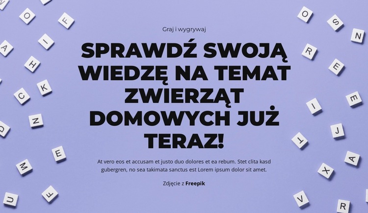 Gotowy, do startu, zgadnij Szablon witryny sieci Web