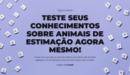 Preparar, Apontar, Adivinhar Modelo CSS Responsivo