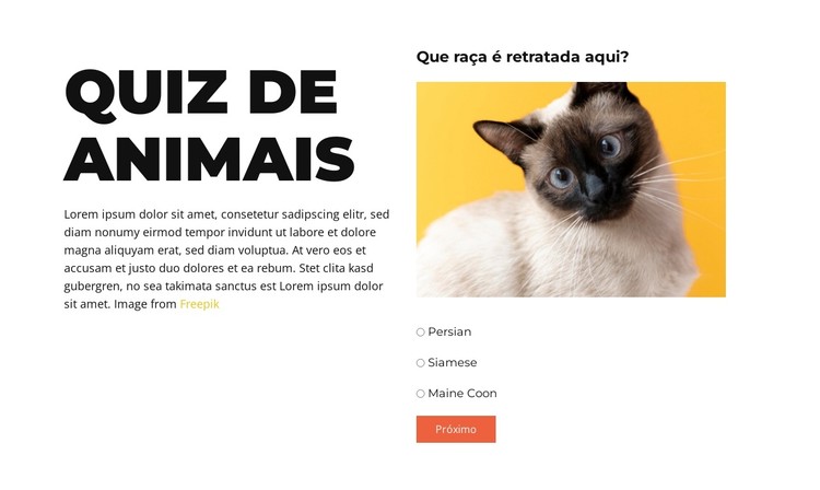 Desafio divertido pela frente Template CSS