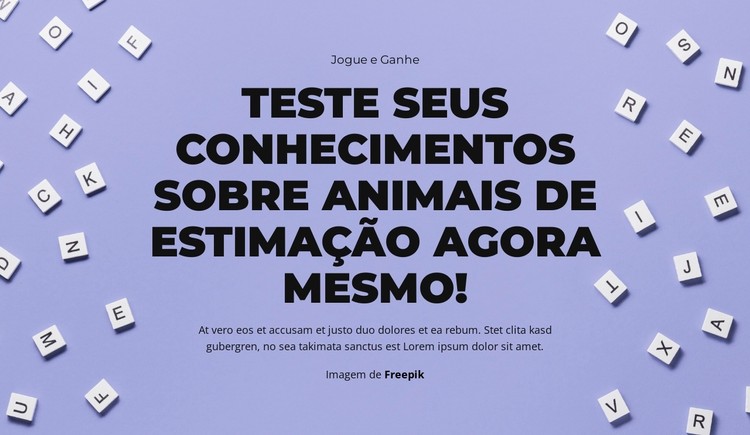 Preparar, apontar, adivinhar Template CSS