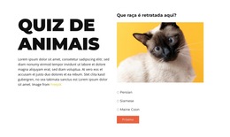 Desafio Divertido Pela Frente