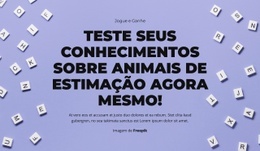 Preparar, Apontar, Adivinhar