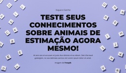 Tema WordPress Multifuncional Para Preparar, Apontar, Adivinhar