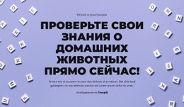 На Старт, Внимание, Угадай Адаптивный Шаблон CSS