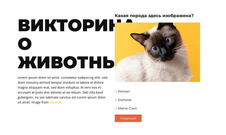 Впереди веселые испытания HTML шаблон