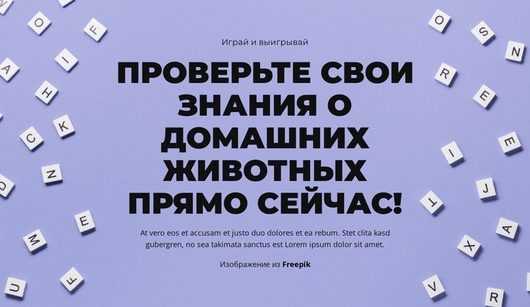 На старт, внимание, угадай Мокап веб-сайта