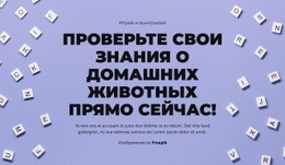 На Старт, Внимание, Угадай – Креативный Многоцелевой Шаблон